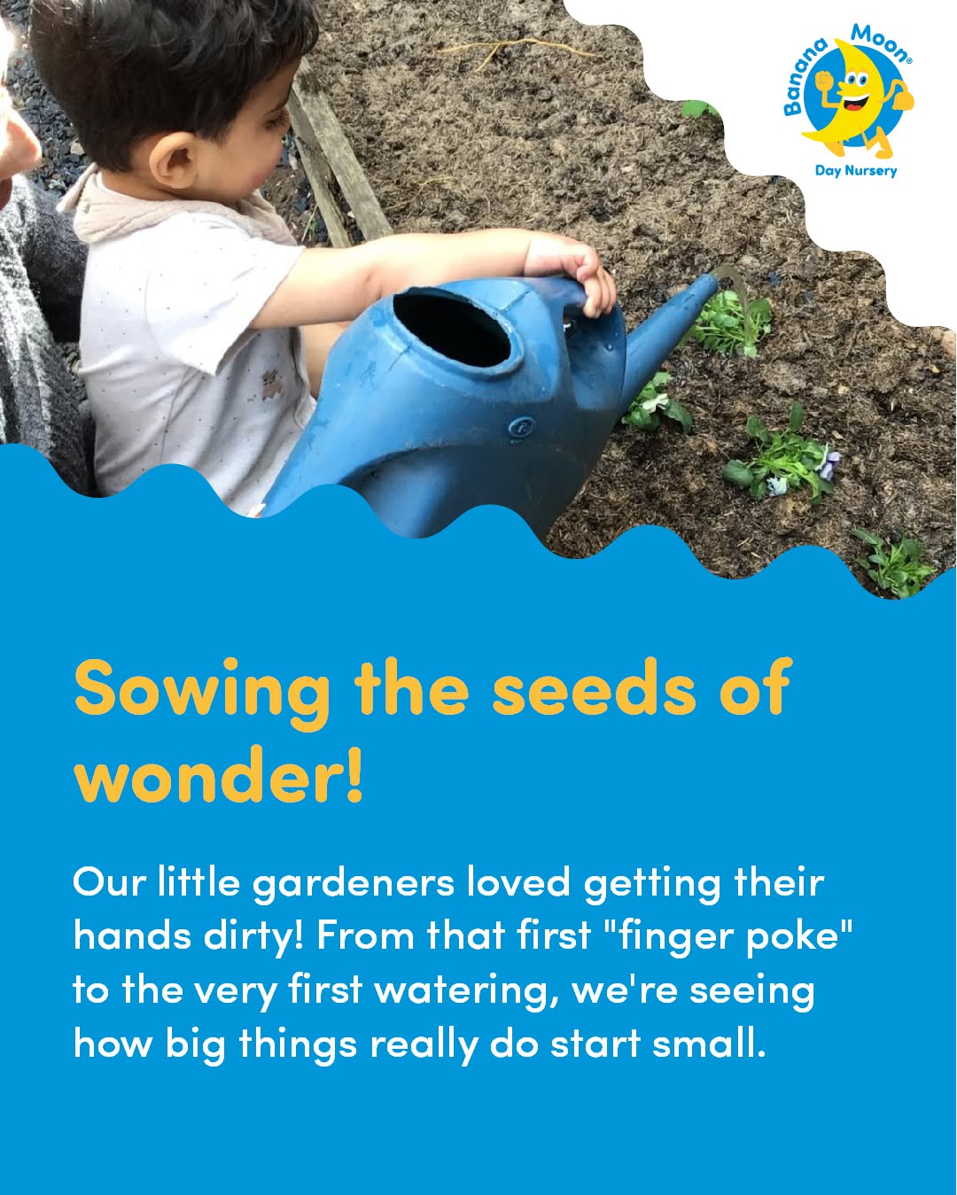 Sowing the seeds of wonder!